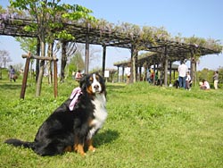 �΁[�Ɂ[�A��������ς����������B