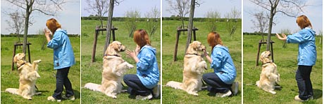 すごい〜、よく出来ました。