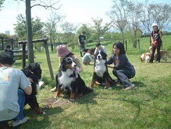 �������~���~�E�E�B�����Ă܂��˂��B