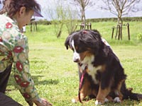 �u�˂��A�܂����H�v