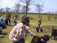 �ق�Ƃ��ɏ�����Ⴀ�_���ł���B