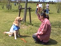 �������q�l�݂����ȃI�Y�N