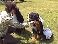 �u�푈�A���΁I�I�v