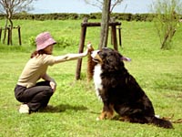 �����A�^�b�`�I