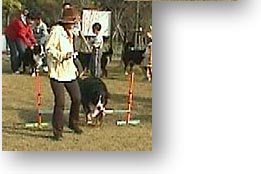 �ǂ����������