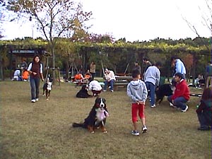 ���ꂩ��}�b�T�[�W�􏀔���OK�H