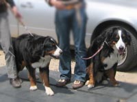 ����ɂ����`�B