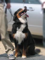 ���o����ɂȂ����V���f�B�����I