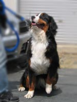 ��ρA�悭�ł��܂����B