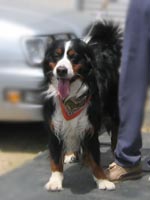 �����̌N�Ł`���B