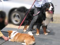 Big&Small�R���r�I