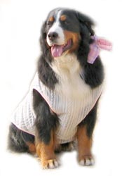 �u����ɂ����I�N���b�N���ăl�I�v