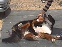 �����`��I