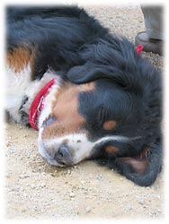 �N�s�N�s�E�E�E�B