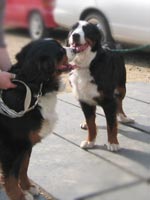 �������ǂ��Ł[���I