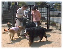 ���������Ɨ]�T�̃���