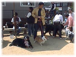 ���났�^�C��