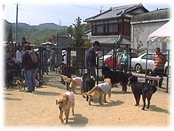 �����A�D���Ȃ�񂿂��A��Z���I