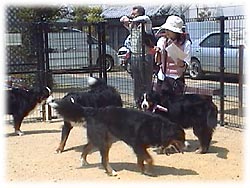 �����͂����ς��̂��F�B���˂��B