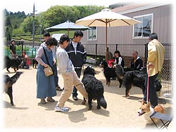 �o�[�j�[�Y�̏W�܂�͂̂�т肵�����͋C