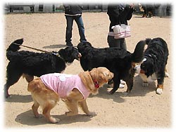 ���������A���������B