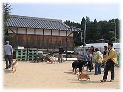 �����Ȏ��Ԃ������܂��B