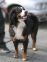 �x���K���N