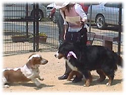 �u���A����ɂ����E�E�E�B���[���ƁB�v