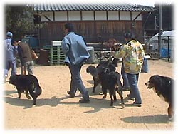 �u�W���ʐ^�A�B��܁`���v