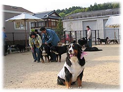 �߂��ς��V�񂾂ˁB�����`�B�v