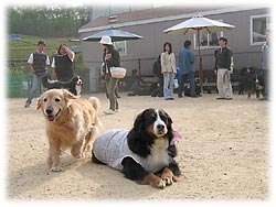 ������Ƌx�e�����Ⴈ�����ƁB