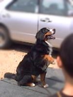 �u�́`���I�v