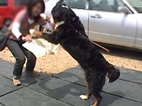 ���C�ł�����߁A�G�N�����ł��B