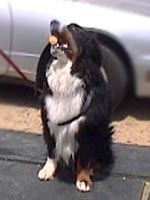 �˂��A���������H