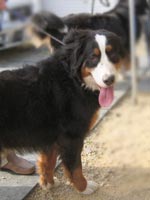 ���C����Ł[���B