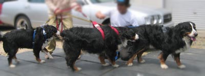 �������₩�A���I���N��ƂŁ`���I