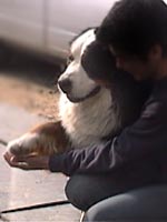 �傫�Ȃ����̃��b�V�N�I