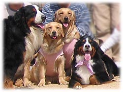 �܂��A����ˁB