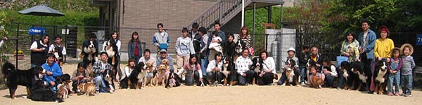 �Ȃ��₩�`�B���ꂵ���̂��W���ʐ^�I