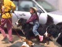 ���āA����ł��傤�H