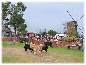 �����܂�錳�C�Ȃ�񂱂���