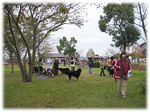 �ߌ�̂ق̂ڂ̃^�C��