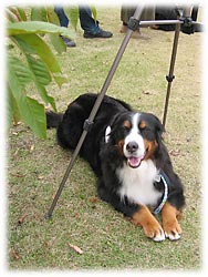 �����O�r�̉��ɂ�����I