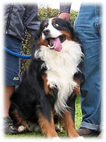 ������ł�����I