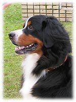 ���͌|�B�ҁI