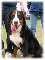 ���C�����ς�����I