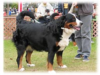 �����Ƃ�~�i�����