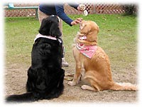 �@�̂��p�b�N���A����`�I