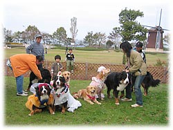 �݂�ȂŋL�O�ʐ^�̎���