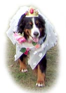 �w�܂��A����ˁ`��x